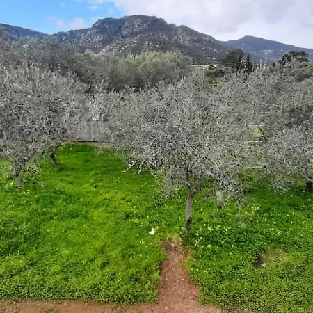 Holiday home Casa Vacanza Foxi Lioni A 200 Mt Dal Mare *